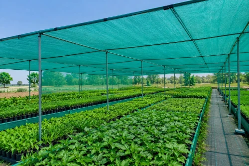 Agro Shade Net Manufacturer in India